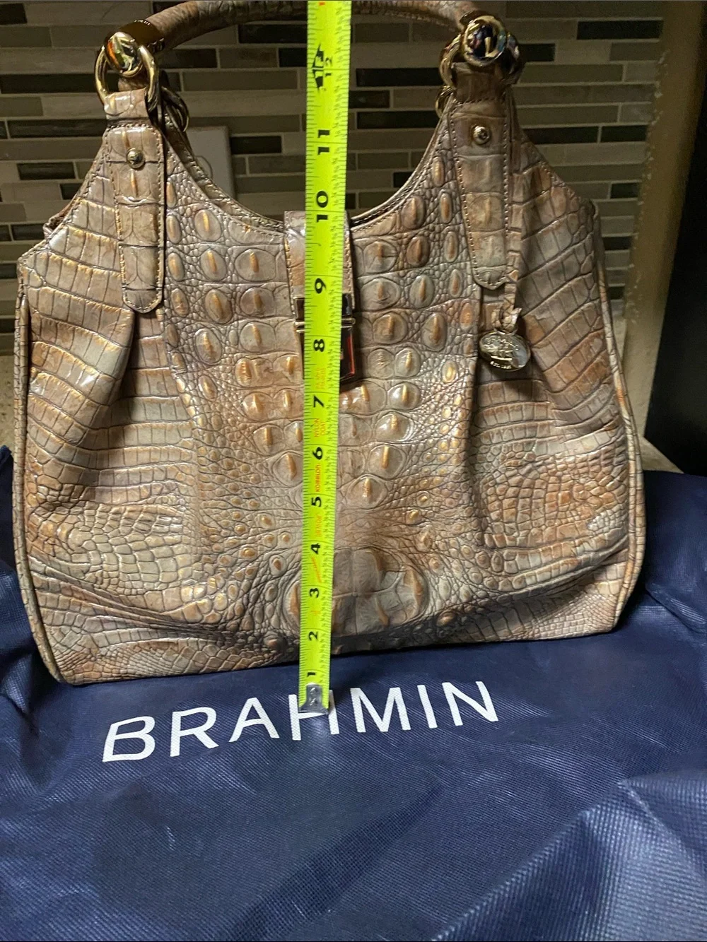 Brahmin Elisa satchel
